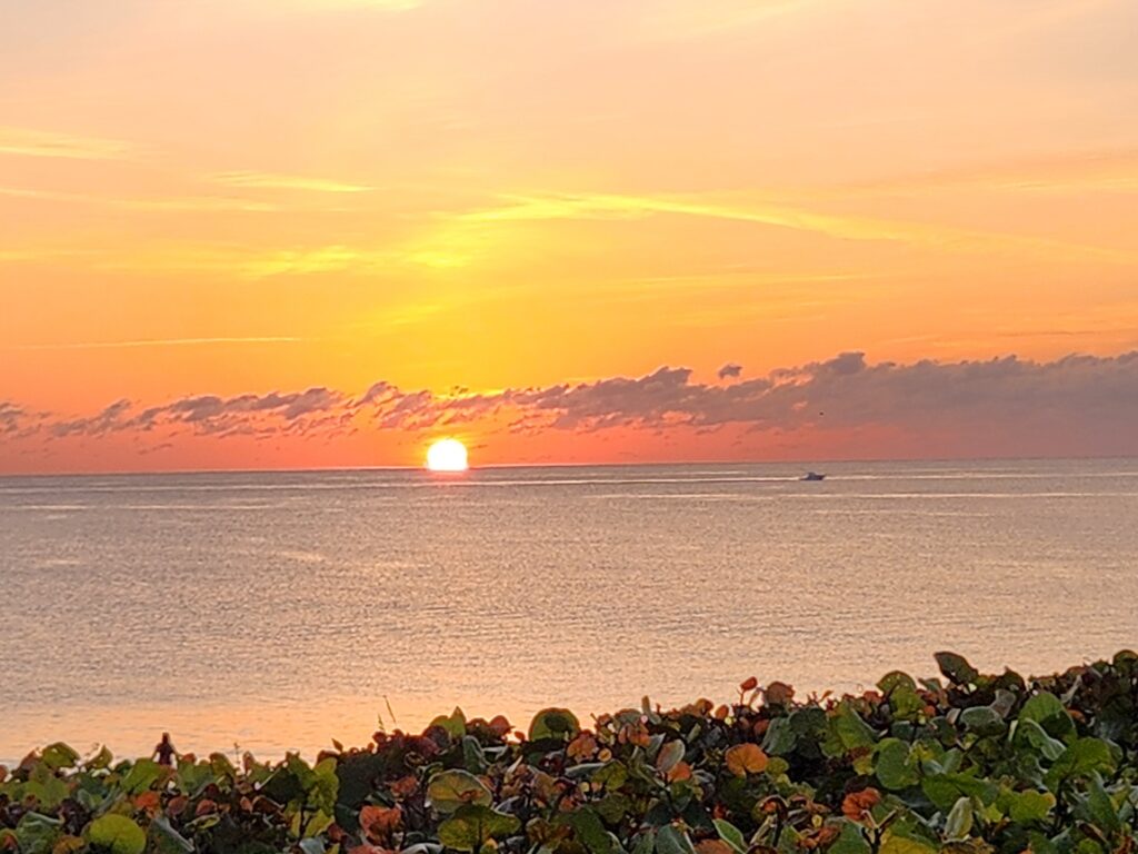 Boynton Beach 2023 05 03 photo by Victoria Knauf Image # 44