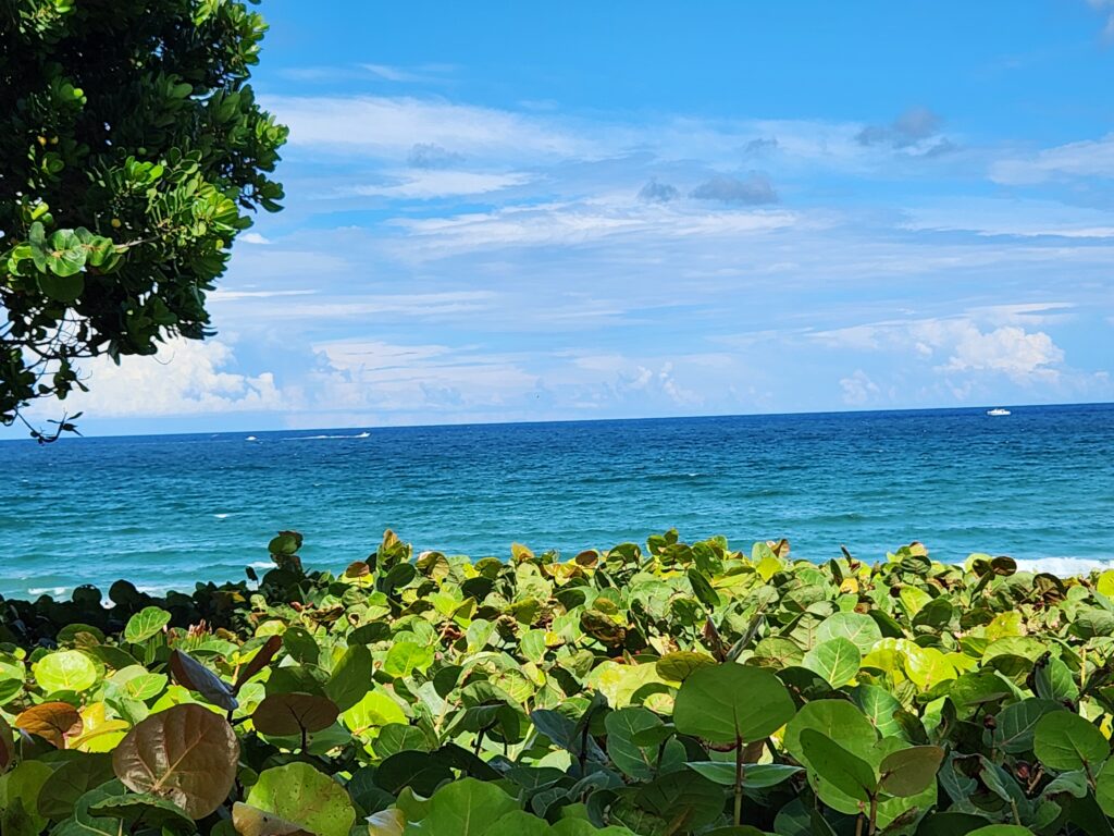 Boynton Beach 2025 06 25 photo by Victoria Knauf Image # 155813