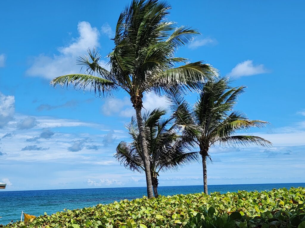 Boynton Beach 2025 06 25 photo by Victoria Knauf Image # 155828