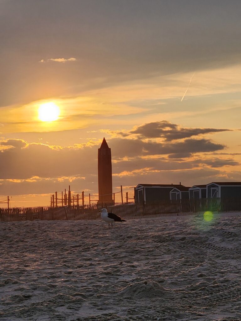 Jones_Beach, LI, NY June 2024, photo by Victoria Knauf, Image # 193740