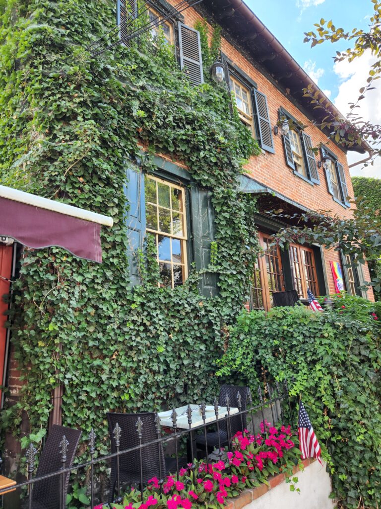 New Hope, PA, photo by Victoria_Knauf Summer 2022